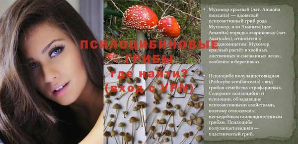 мет Богородицк
